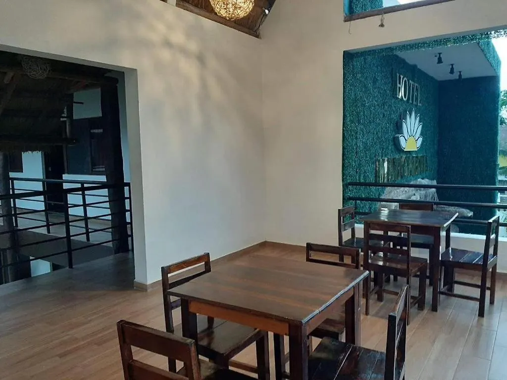Hotel Margarita Bacalar 0*,